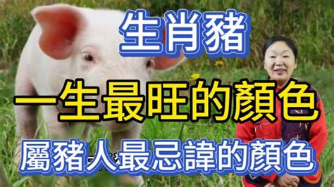 屬豬的名字|屬豬可以取什麼名字？最佳名字指南與寓意解析